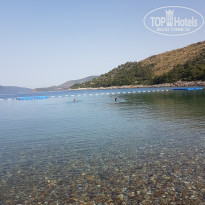 фото из отзыва ID 1958825