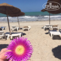 фото из отзыва ID 1958832