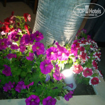 фото из отзыва ID 1958930