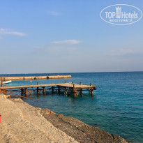 фото из отзыва ID 1959015