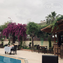 фото из отзыва ID 1959092