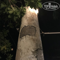 фото из отзыва ID 1959112