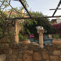 фото из отзыва ID 1959174