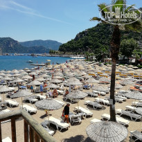 фото из отзыва ID 1959279