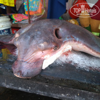 фото из отзыва ID 1959327