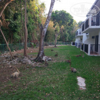 фото из отзыва ID 1959372