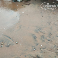 фото из отзыва ID 1959403