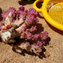 фото из отзыва ID 1959403