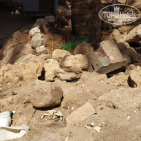 фото из отзыва ID 1959403