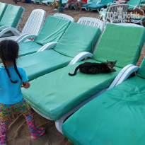 фото из отзыва ID 1959403