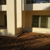 фото из отзыва ID 1959403