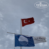 фото из отзыва ID 1959539