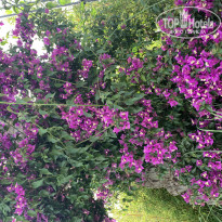 фото из отзыва ID 1959539