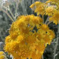 фото из отзыва ID 1959539