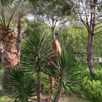 фото из отзыва ID 1959539