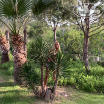 фото из отзыва ID 1959539