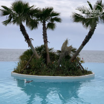 фото из отзыва ID 1959539