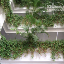 фото из отзыва ID 1959604