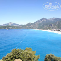 фото из отзыва ID 1959553