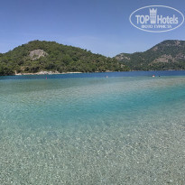 фото из отзыва ID 1959553