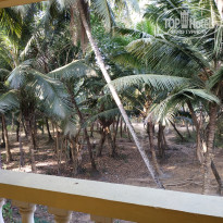 фото из отзыва ID 1959707