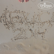 фото из отзыва ID 1959762