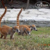 фото из отзыва ID 1959762