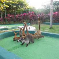 фото из отзыва ID 1959762