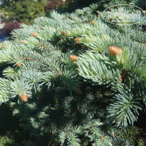 фото из отзыва ID 1959957