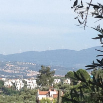 фото из отзыва ID 1959984