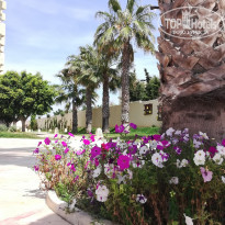 фото из отзыва ID 1959587