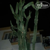 фото из отзыва ID 1958703