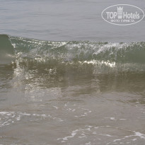 фото из отзыва ID 1956749