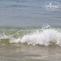 фото из отзыва ID 1956749