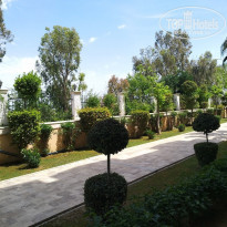 фото из отзыва ID 1957696