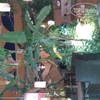 фото из отзыва ID 1957478