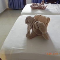 фото из отзыва ID 1954556