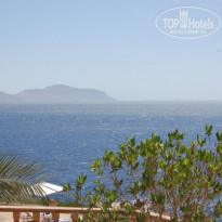 фото из отзыва ID 196583