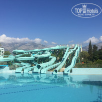 фото из отзыва ID 1960034