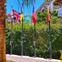 фото из отзыва ID 1960030