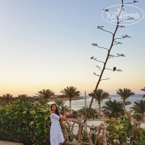 фото из отзыва ID 1960030