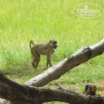 фото из отзыва ID 1960148