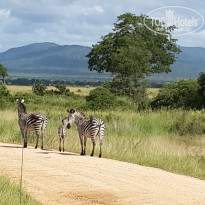 фото из отзыва ID 1960148
