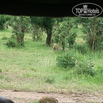 фото из отзыва ID 1960148