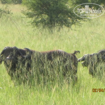 фото из отзыва ID 1960148