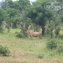 фото из отзыва ID 1960148