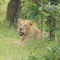 фото из отзыва ID 1960148