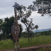 фото из отзыва ID 1960148