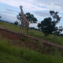 фото из отзыва ID 1960148