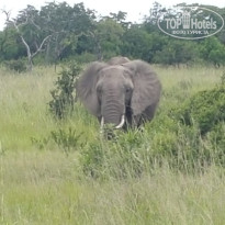 фото из отзыва ID 1960148